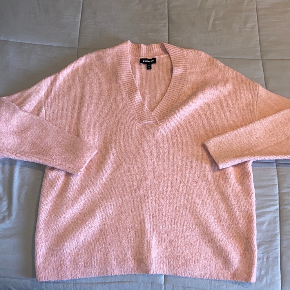 Express v-neck sweater